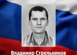 Владимир Стрельников